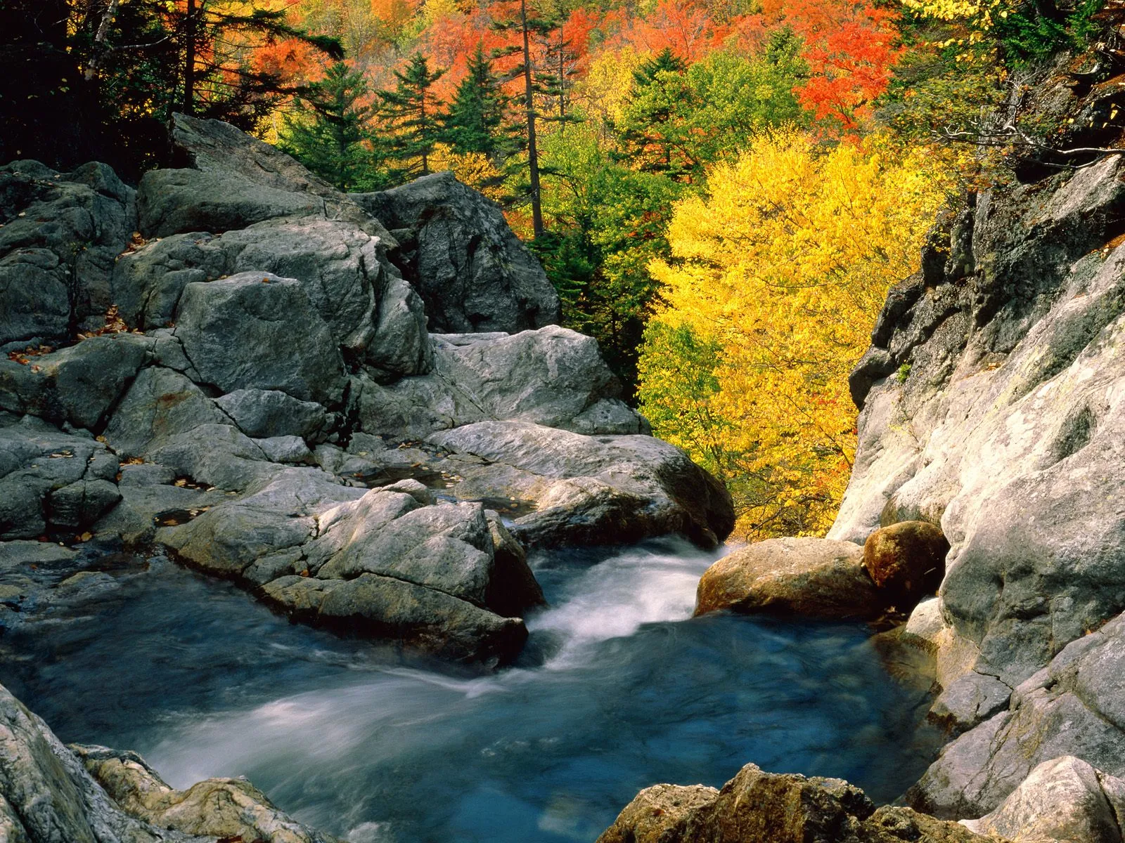 A rocky stream flows through large boulders with vibrant autumn foliage in the background.