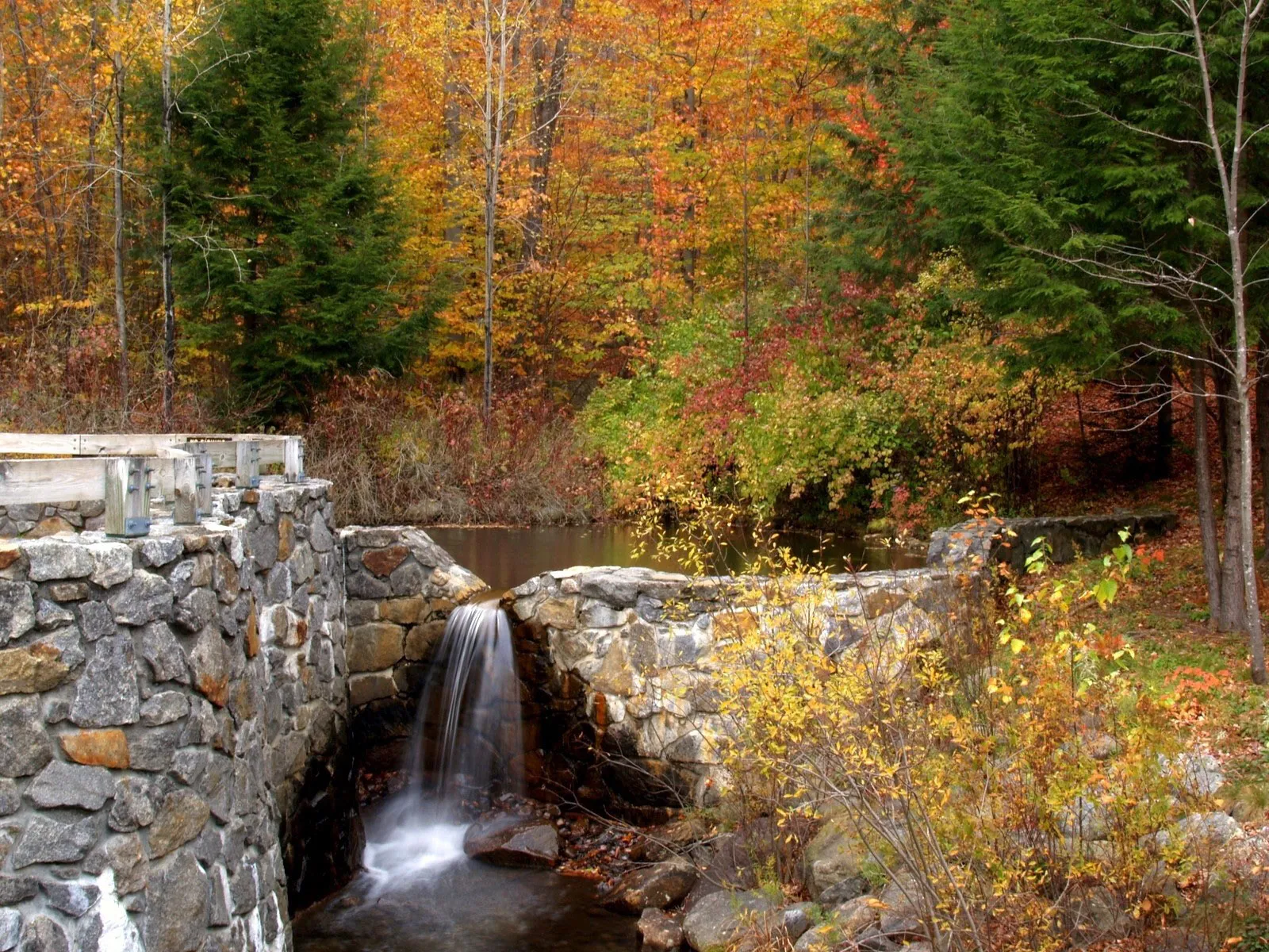 A small waterfall flows over a stone wall surrounded by trees in autumn colors.
