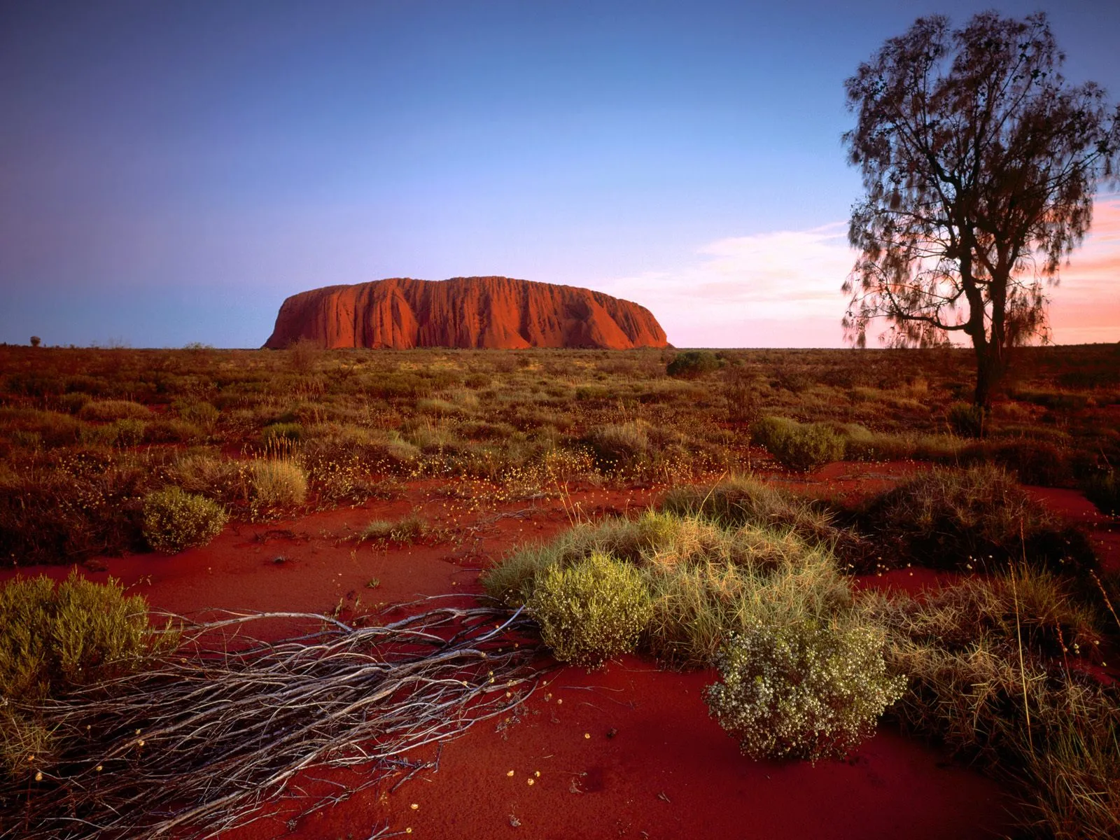 A large red rock formation, Uluru, stands in the distance under a colorful sunset sky.