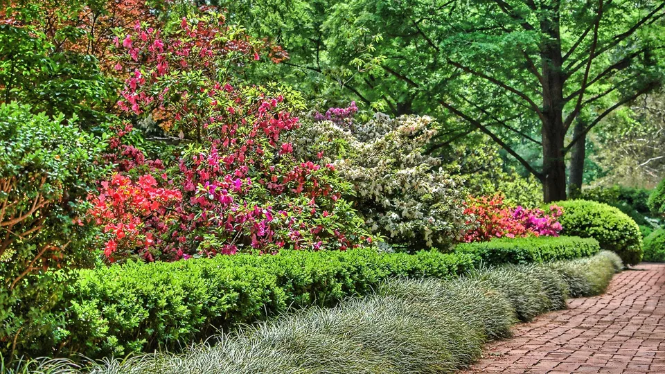 A winding brick path leads through a lush garden filled with blooming azaleas and manicured hedges.