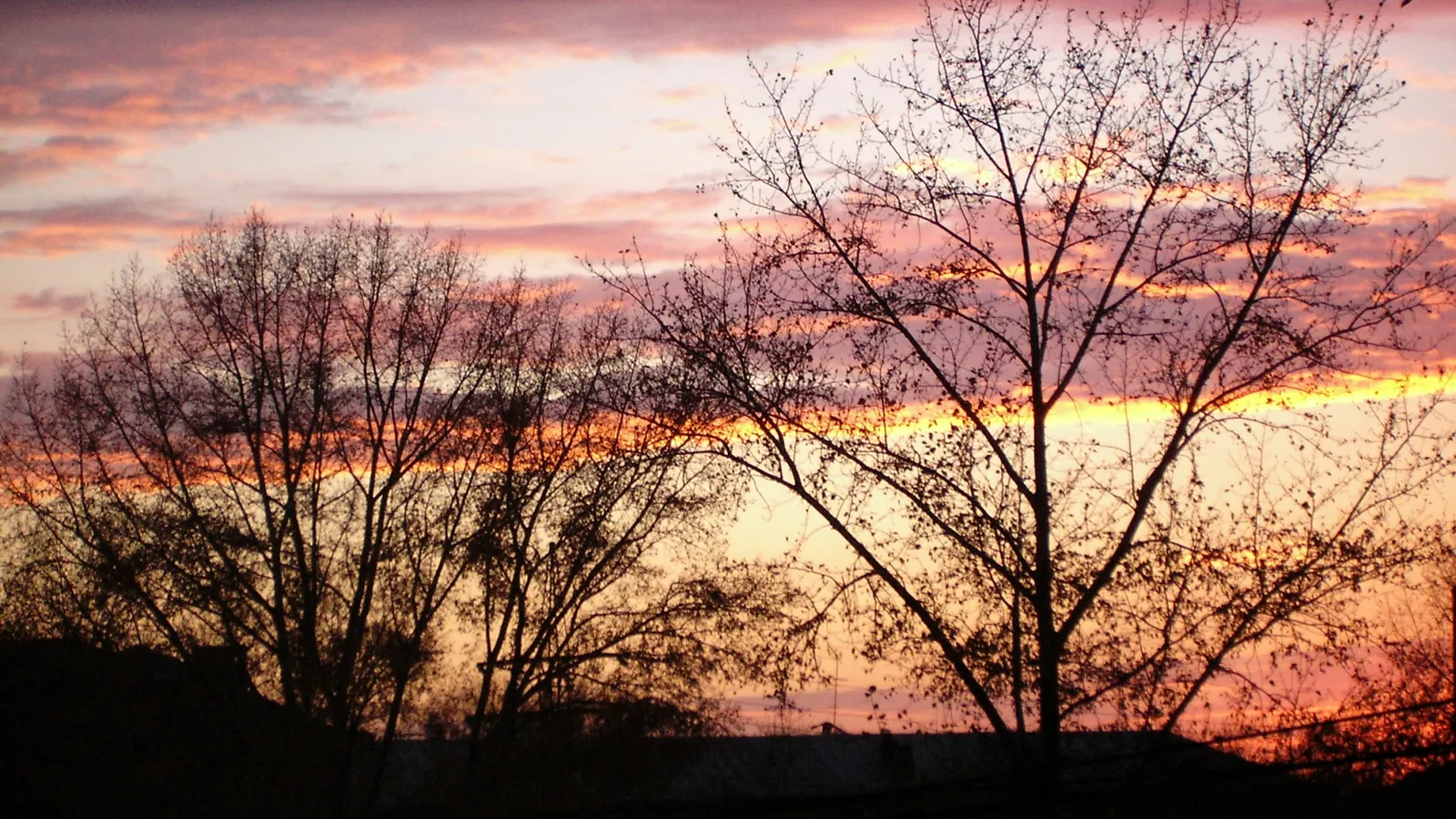 Silhouetted bare trees contrast against a sky with vibrant orange, pink, and purple hues.