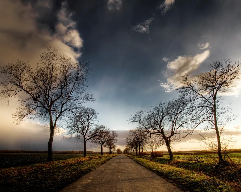 A road passes through a landscape of bare trees under a dramatic sky with sunlight breaking through clouds.