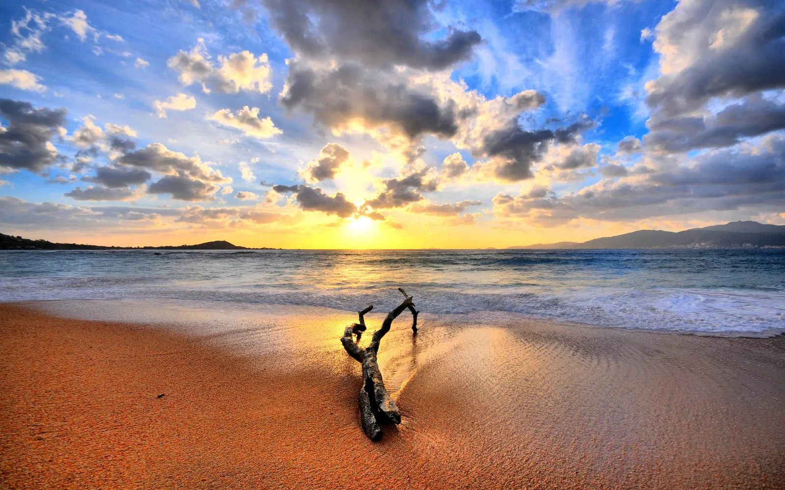 A piece of driftwood rests on a sandy beach as the sun sets over the ocean, casting golden light.