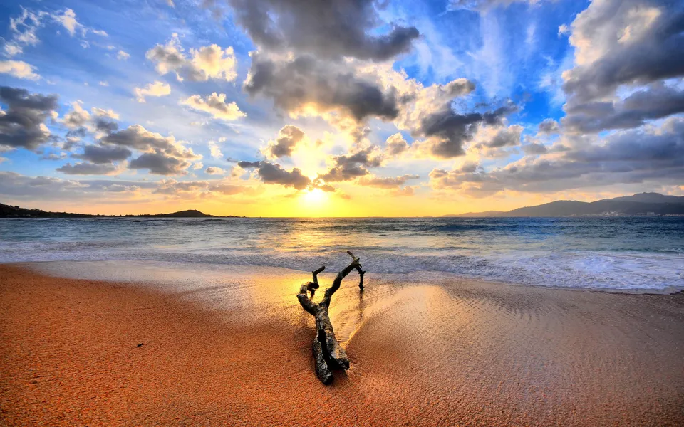 A piece of driftwood rests on a sandy beach as the sun sets over the ocean, casting golden light.