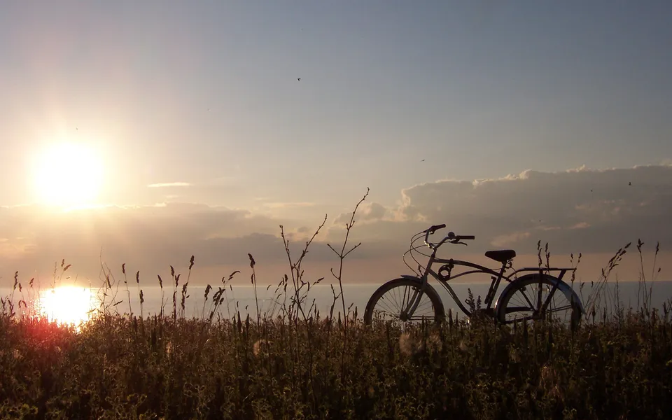 A bicycle is silhouetted in tall grass against a bright sunset over the ocean.