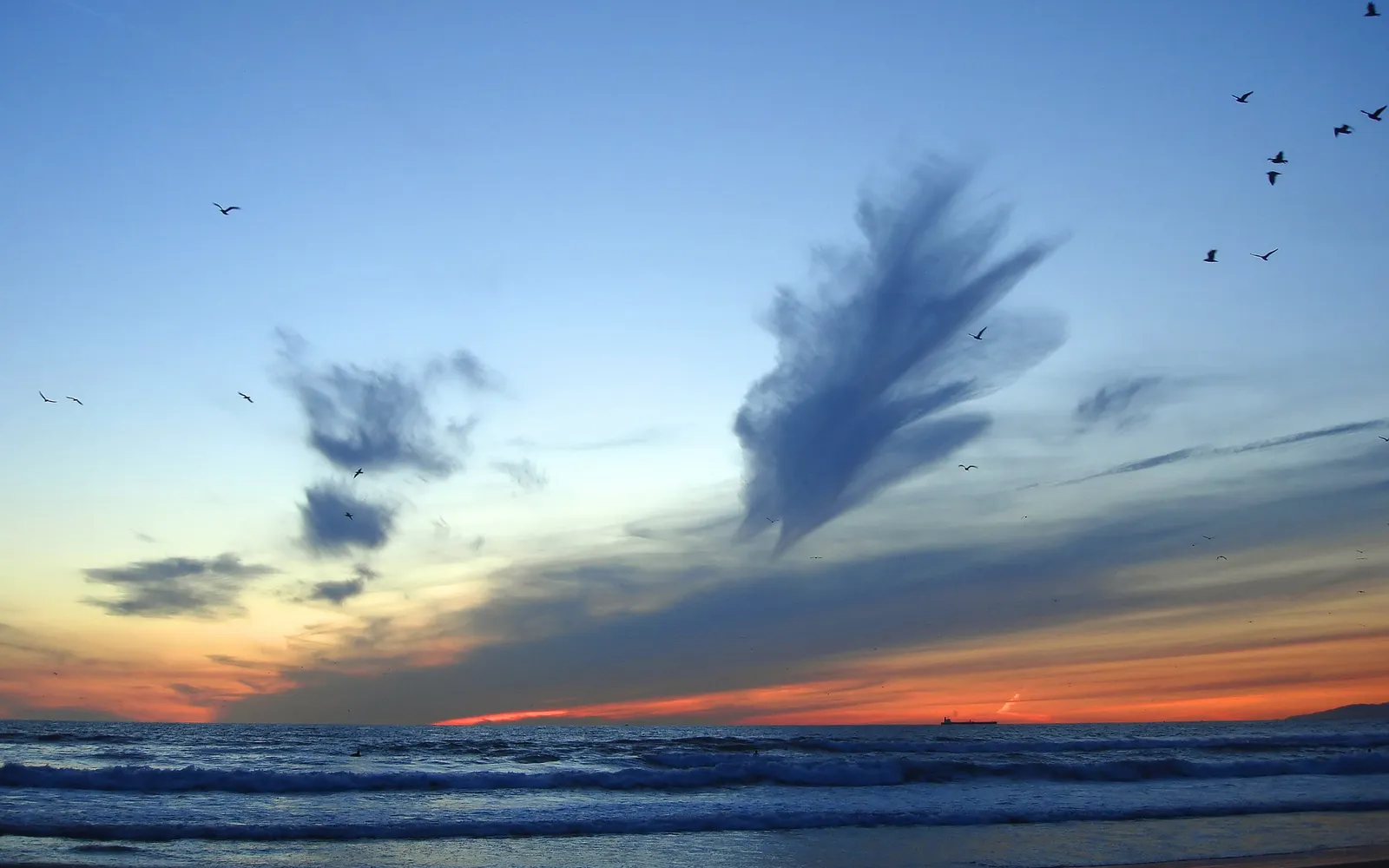 A flock of birds flies across a vibrant sunset sky over the ocean.