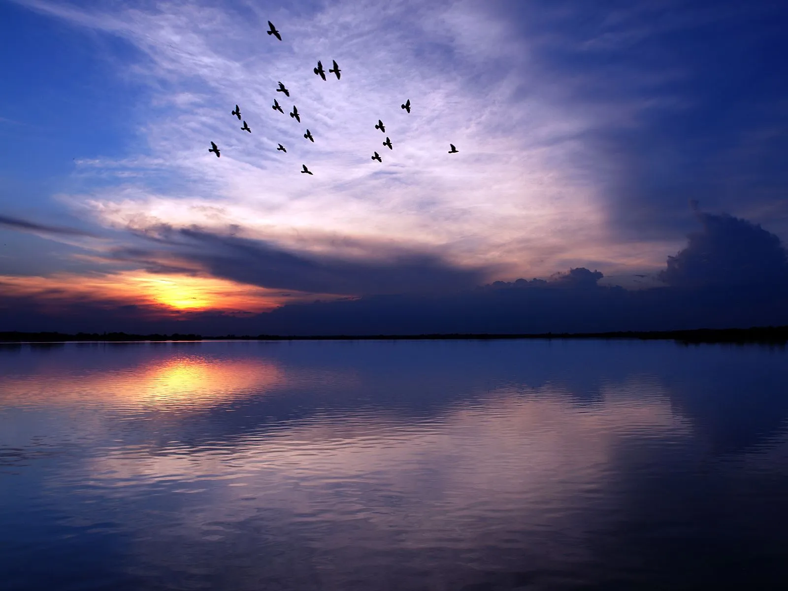 A flock of birds flies across a vibrant sunset sky reflected in a calm body of water.