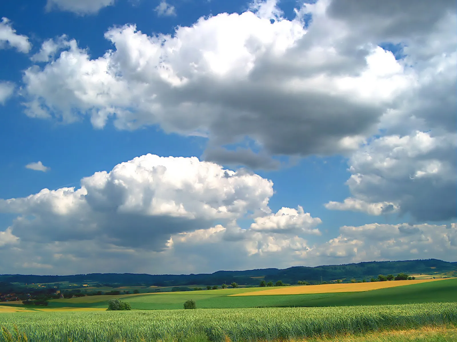 A wide landscape view of a bright blue sky filled with large, fluffy white cumulus clouds.