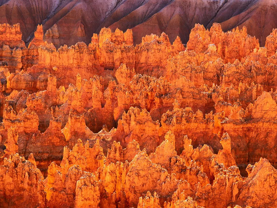 Close-up view of vibrant orange hoodoos in Bryce Canyon, Utah, illuminated by warm sunlight.