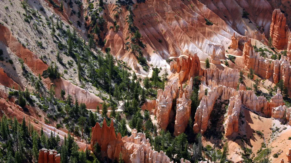 Tall, slender hoodoos in Bryce Canyon National Park are surrounded by green pine trees and a winding path.