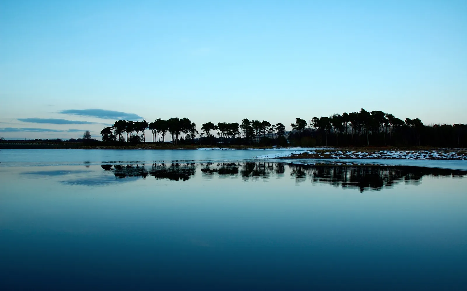 A calm lake perfectly reflects a line of silhouetted pine trees against a clear blue sky at dusk.