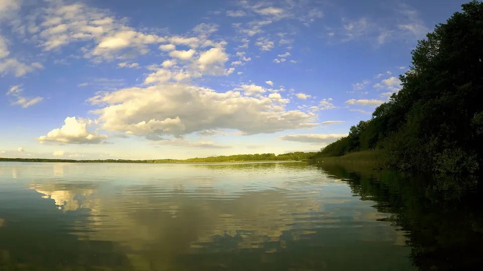 A wide shot of a calm lake with reflections of the sky and trees on the right.