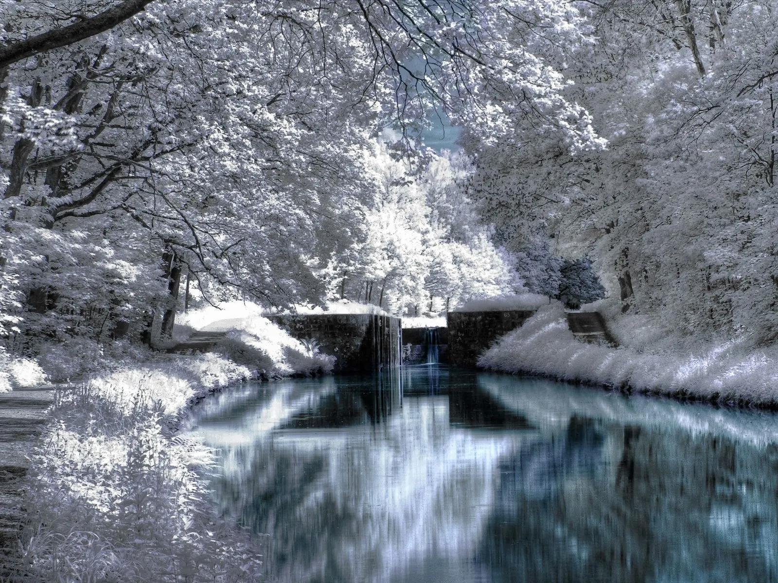 A canal lock with water flowing through it, surrounded by trees and vegetation.