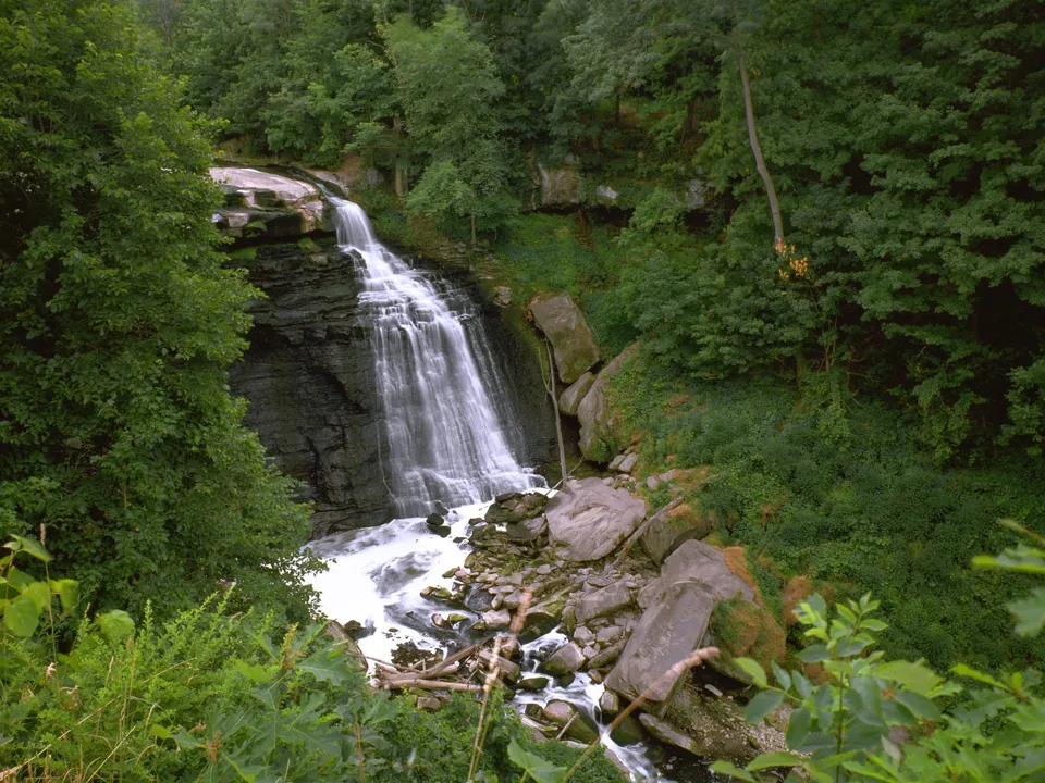 A waterfall cascades down rocky ledges surrounded by vibrant green trees and undergrowth.