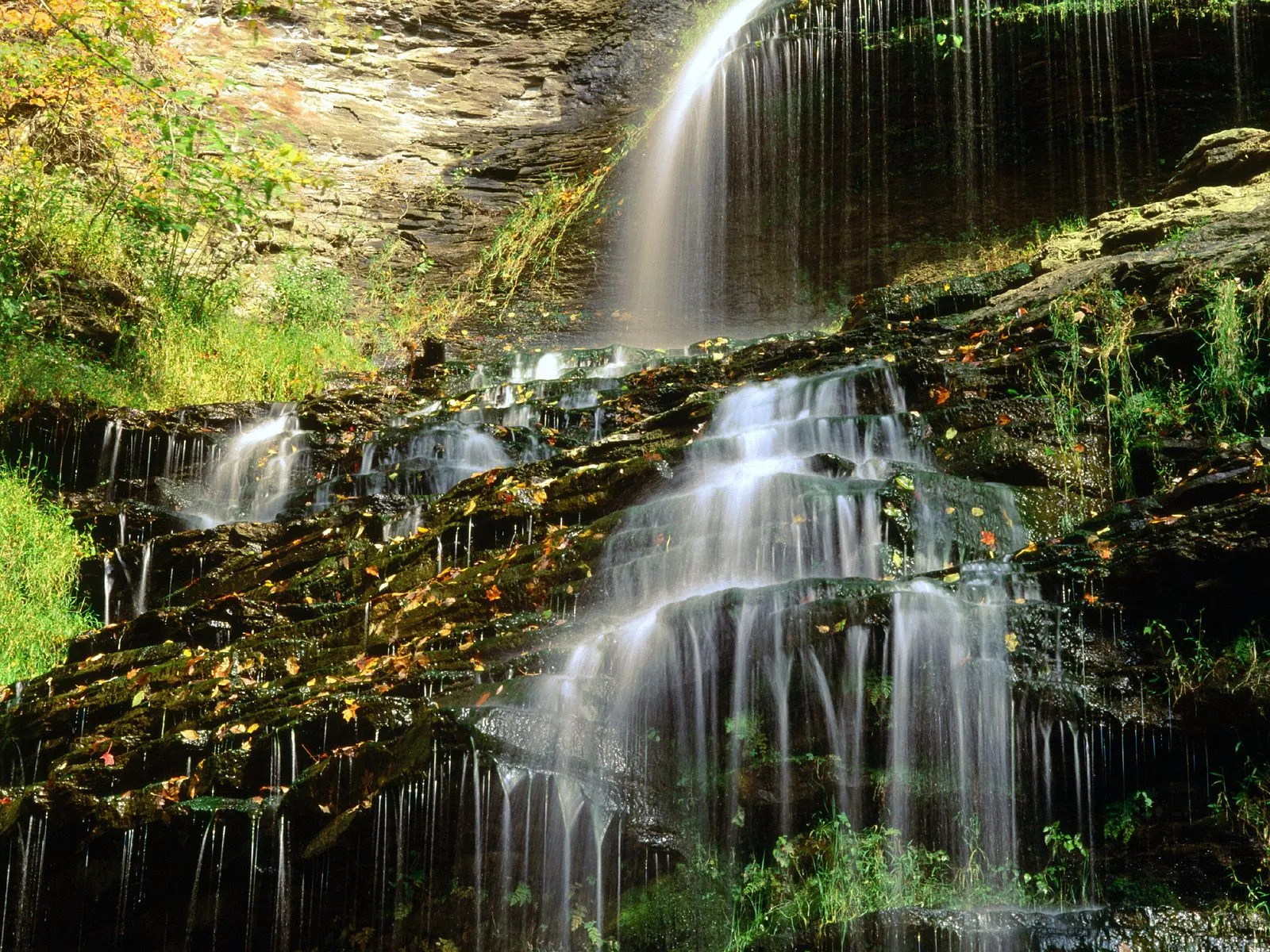 A multi-tiered waterfall cascades over dark, mossy rocks, with fallen autumn leaves scattered throughout.