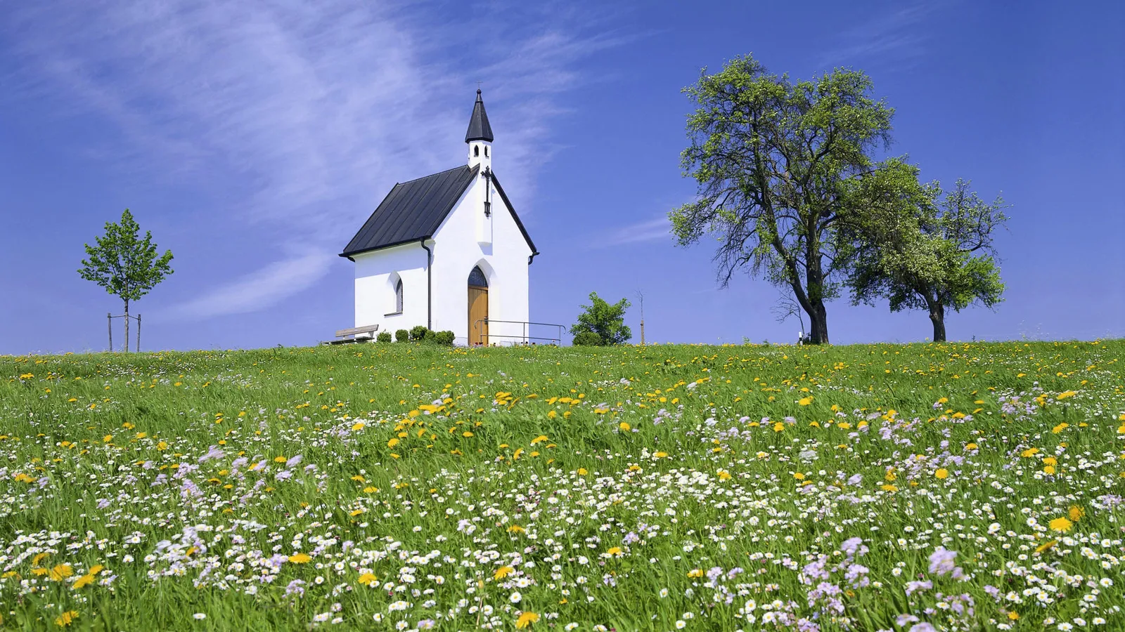 A small white chapel stands on a grassy hill dotted with wildflowers under a bright blue sky.