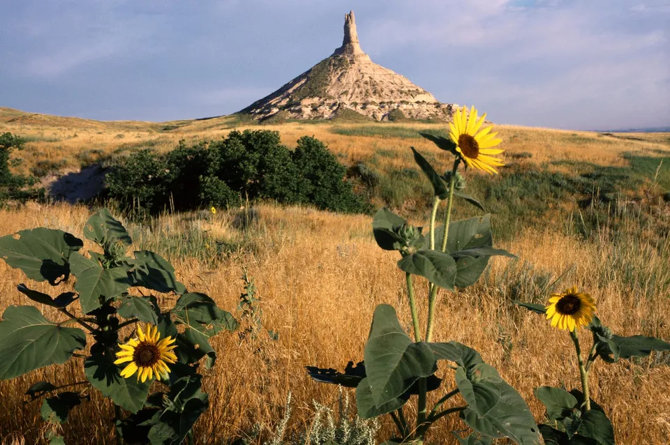 Sunflowers in the foreground with Chimney Rock National Historic Site in the background under a blue sky.