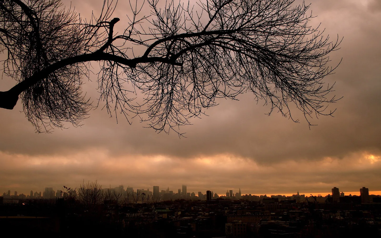A silhouetted cityscape is visible under a dramatic, cloudy sunset sky, with bare tree branches in the foreground.