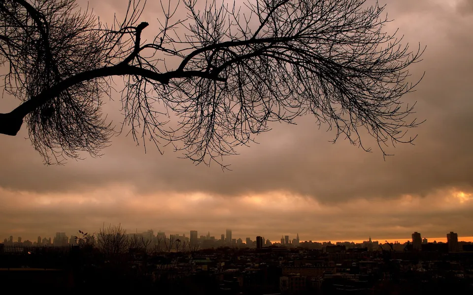 A silhouetted cityscape is visible under a dramatic, cloudy sunset sky, with bare tree branches in the foreground.