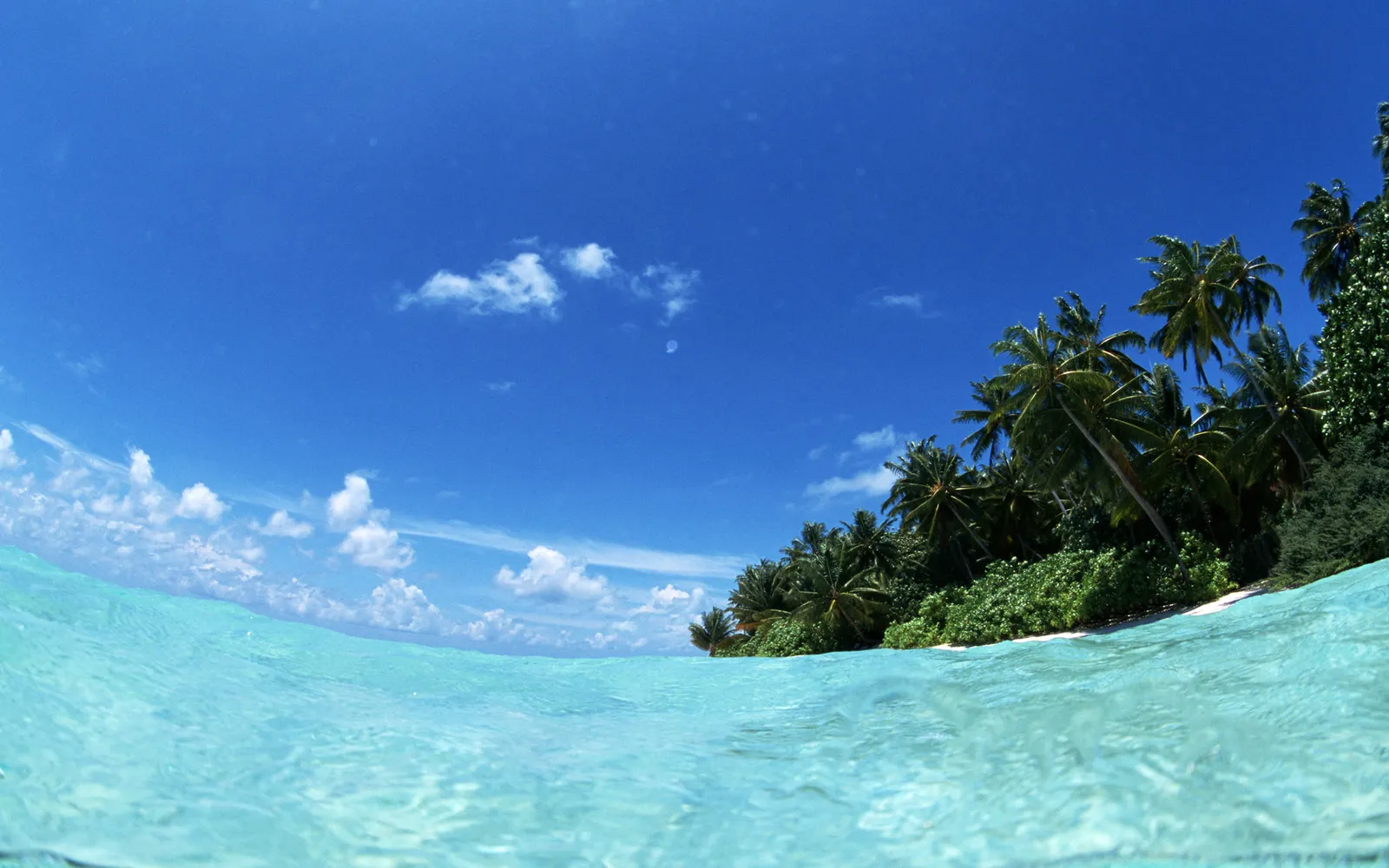 Crystal clear turquoise water in the foreground meets a lush green coastline with palm trees.
