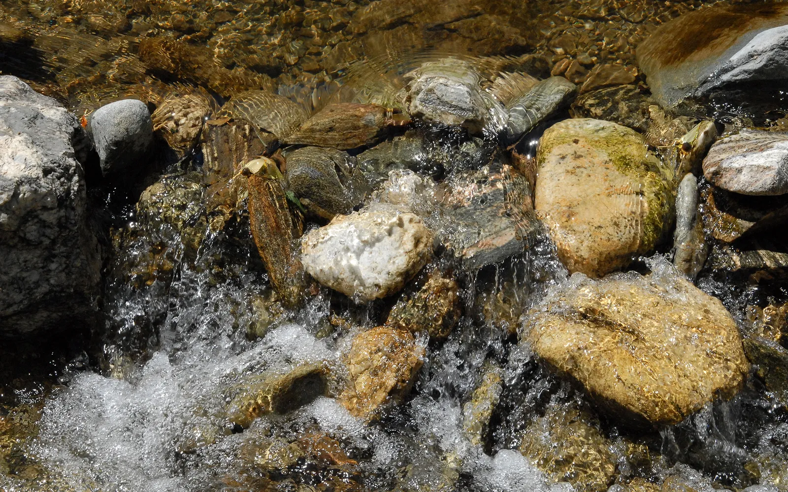 Close-up of clear water flowing over smooth, wet river stones.
