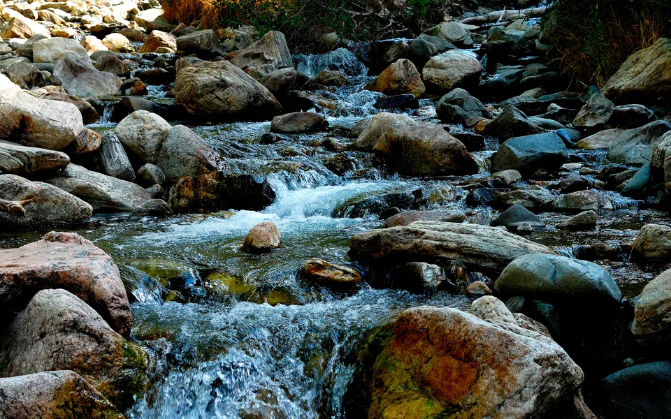 A close-up view of a clear stream flowing over numerous smooth, rounded rocks of various sizes.
