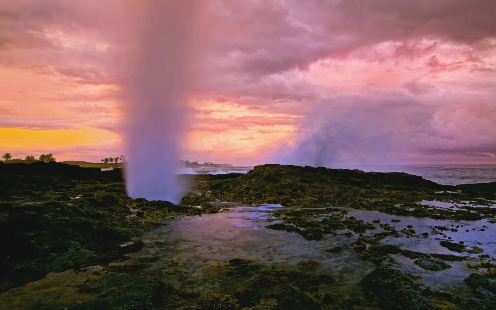 A dramatic sunrise paints the sky with pink and orange hues over a rocky coastline with ocean spray erupting from a blowhole.