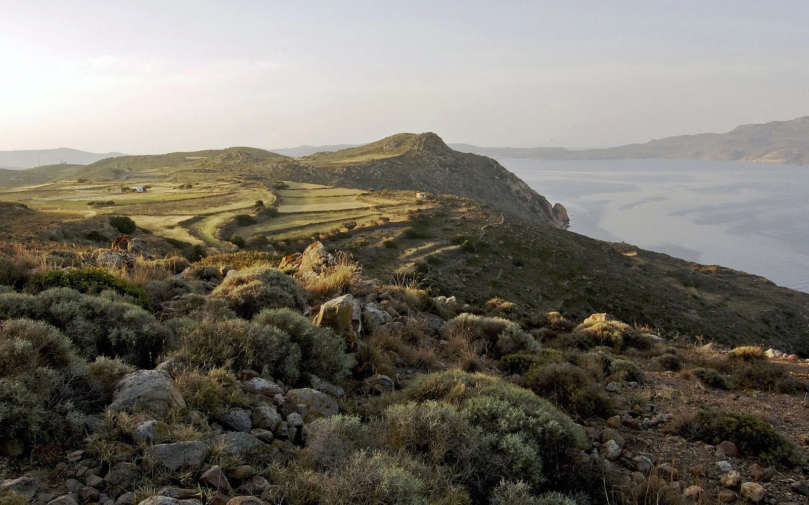 A view of rolling green hills and cultivated fields sloping down to the calm sea under a pale sky.