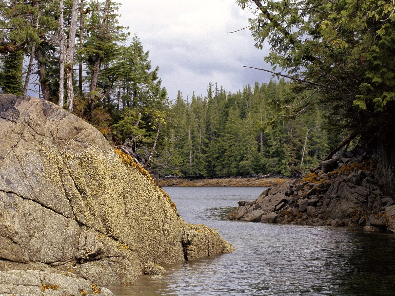 A calm body of water flows between rocky shores and a dense evergreen forest under a cloudy sky.