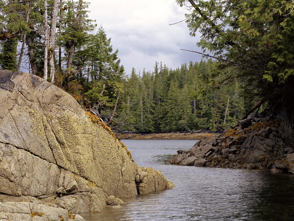 A calm body of water flows between rocky shores and a dense evergreen forest under a cloudy sky.