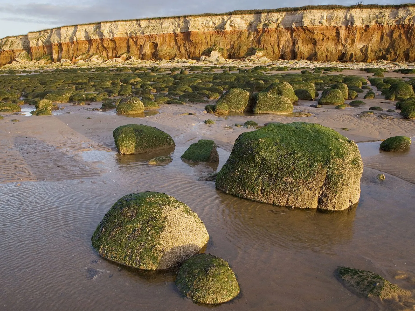 Large moss-covered rocks are scattered on a sandy beach with shallow water reflecting the sky and cliffs.