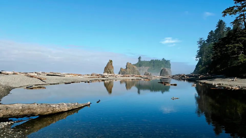 A calm body of water reflects sea stacks and a forested coastline under a clear blue sky.