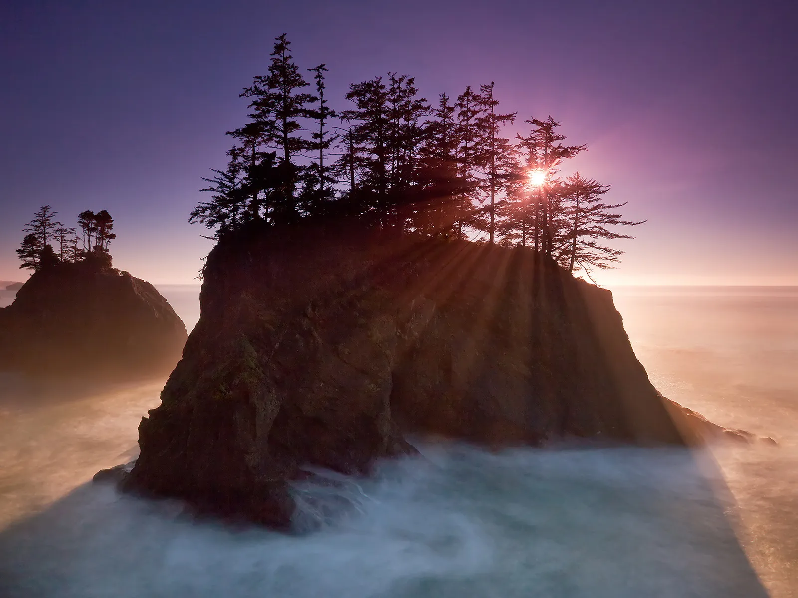 Sunbeams radiate from behind a cluster of trees on a rocky sea stack at sunrise.