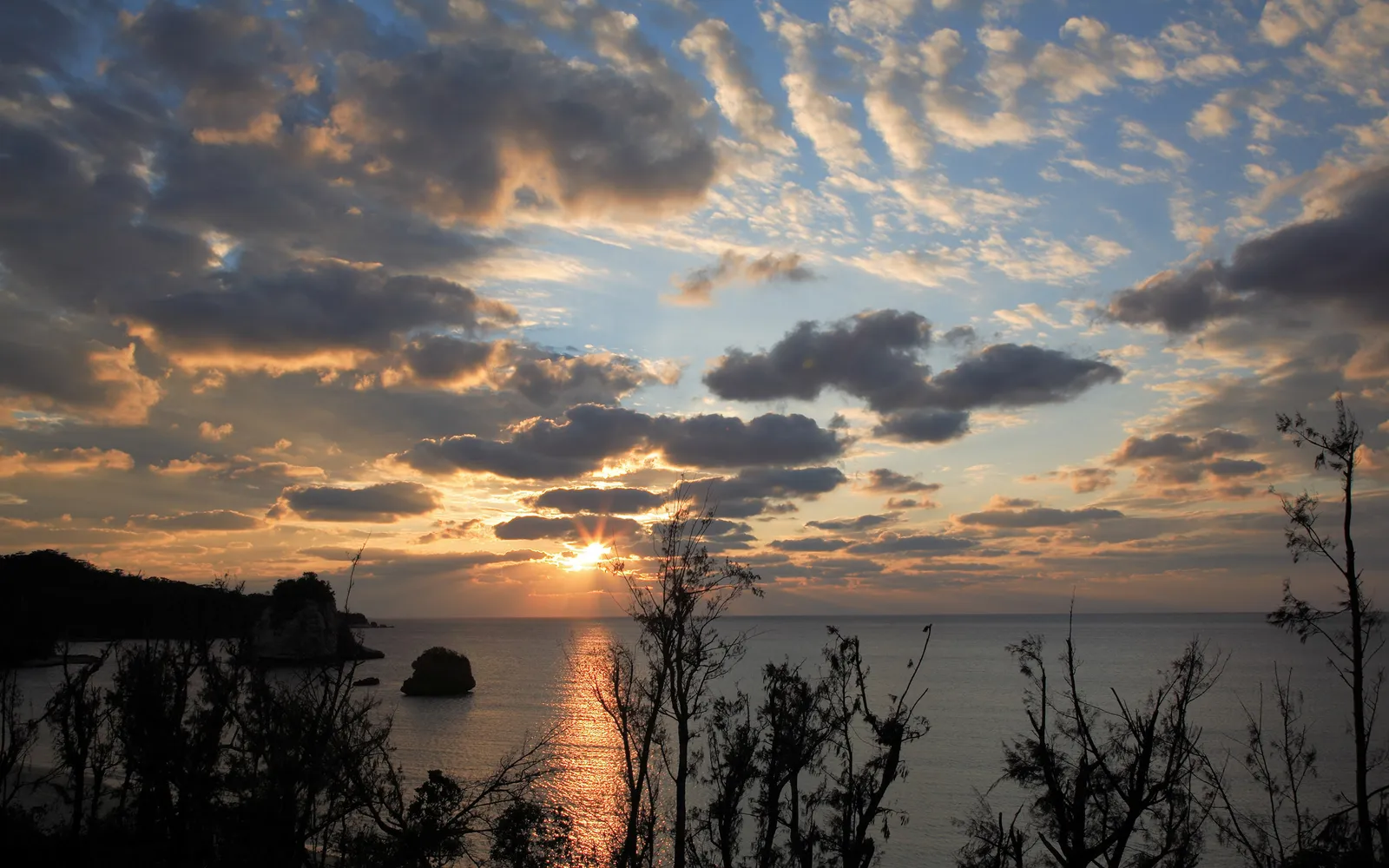 A vibrant sunset over the ocean, with silhouetted trees in the foreground and rocky islands in the distance.