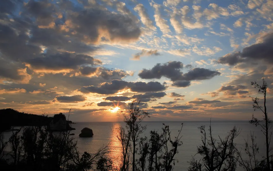 A vibrant sunset over the ocean, with silhouetted trees in the foreground and rocky islands in the distance.