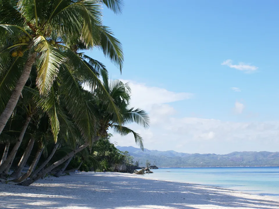 Palm trees with coconuts cast shadows on a white sandy beach.