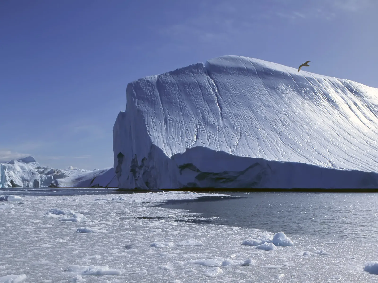 A large iceberg with a textured surface under a clear blue sky with a bird flying above.