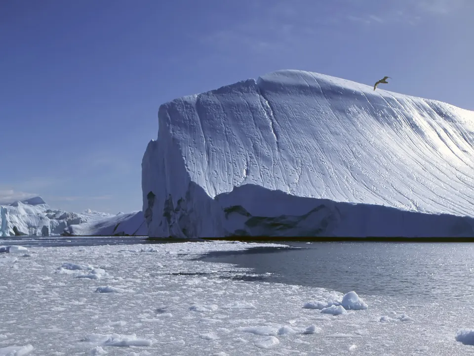 A large iceberg with a textured surface under a clear blue sky with a bird flying above.