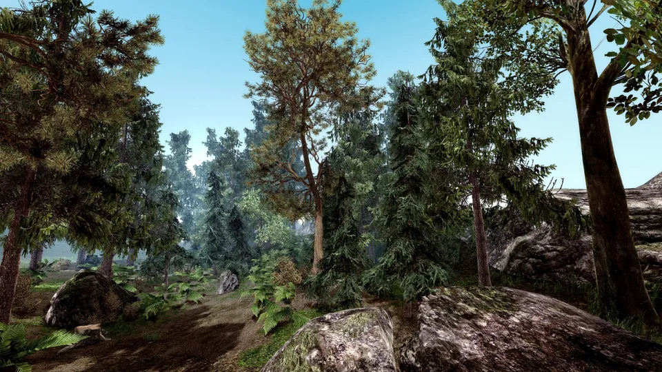 A sunlit path winds through a dense forest with tall coniferous trees and mossy rocks.