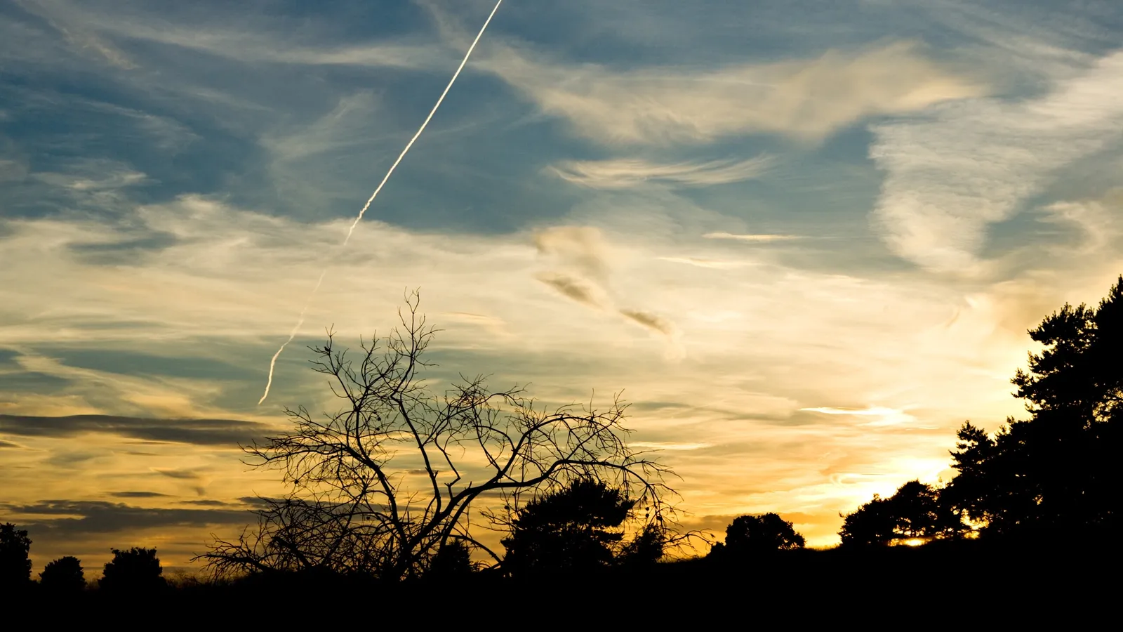 A long contrail stretches across a sunset sky with wispy clouds and silhouetted trees.
