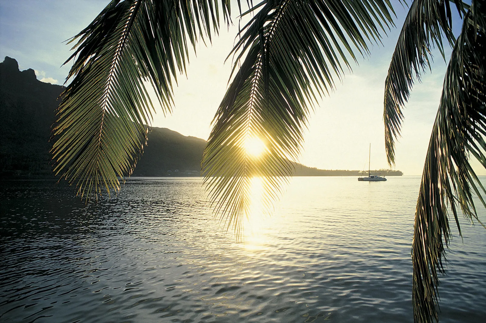 View through palm fronds of a bay at sunset with a sailboat on the water and mountains in the background.