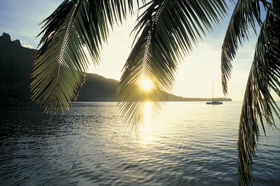 View through palm fronds of a bay at sunset with a sailboat on the water and mountains in the background.
