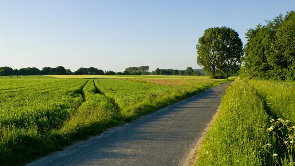 A paved country road curves through vibrant green fields under a clear blue sky.