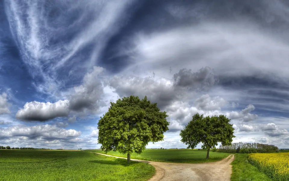 A dirt road splits into two paths, with two large trees on either side, in a green field under a dramatic sky.