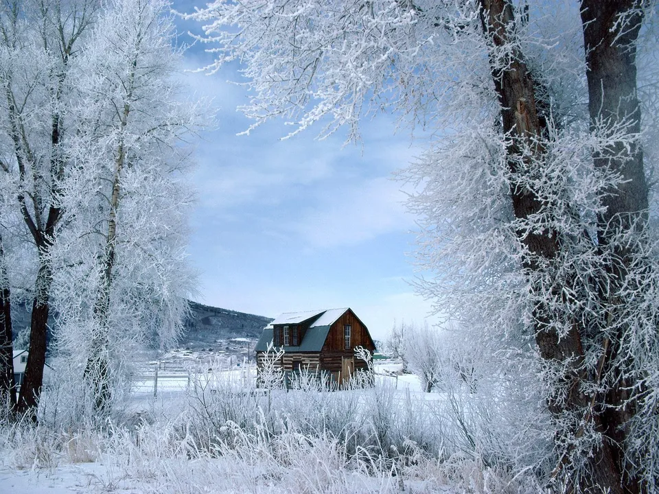A rustic cabin is nestled among frost-covered trees with a clear blue sky above.