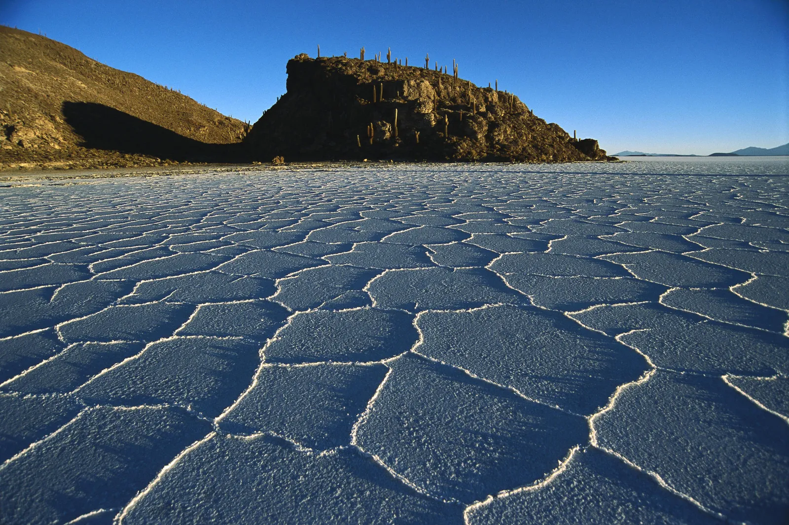 A vast expanse of cracked salt flats stretches towards a rocky island with cacti under a clear blue sky.