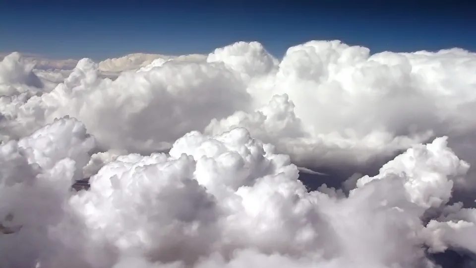 A vast expanse of fluffy white cumulus clouds against a deep blue sky.