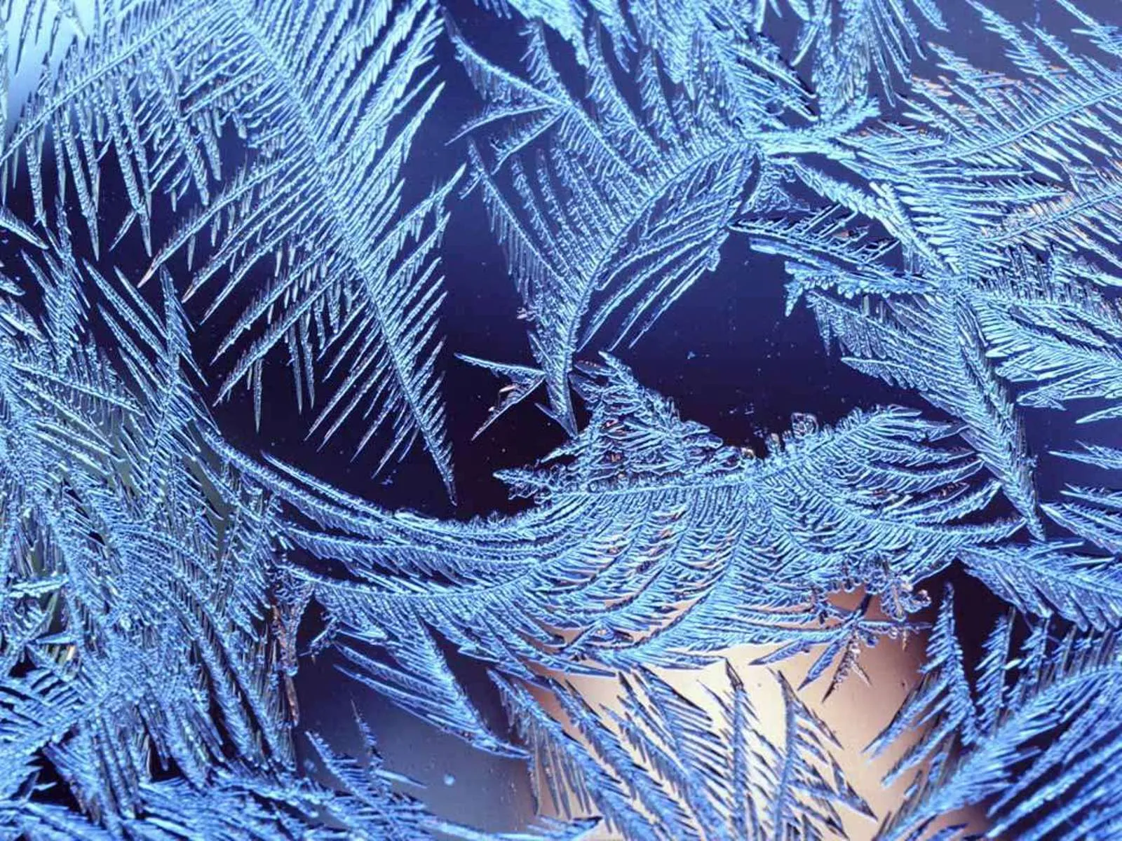 Intricate ice crystals forming delicate, fern-like patterns on a window.