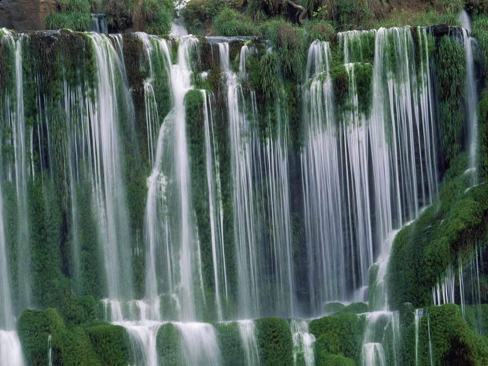 Thin streams of water create a curtain effect over a lush, green cliff face.