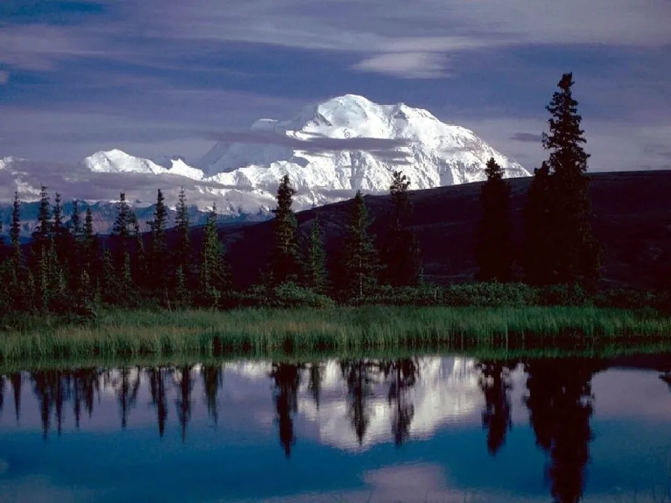 A snow-covered mountain summit is reflected in a lake in front of evergreen trees.